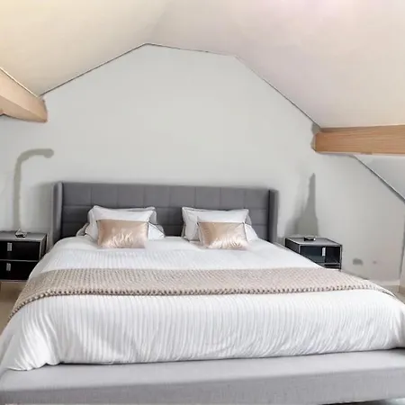 Сasa de vacaciones 18 Brussels-charleroi-airport Charleroi