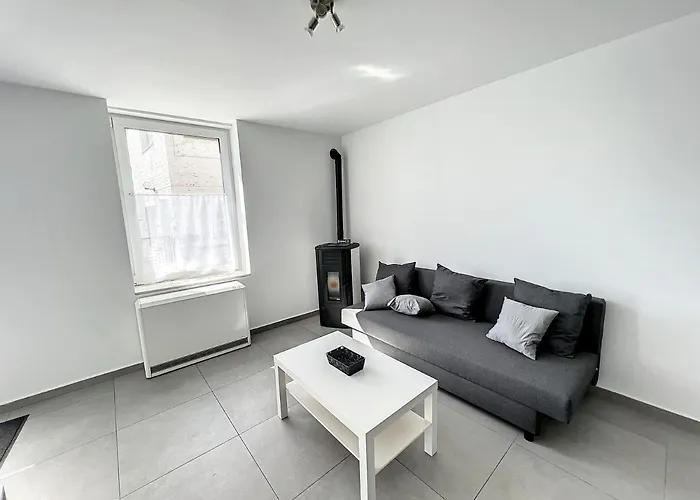 18 Brussels-charleroi-airport * שרלרואה